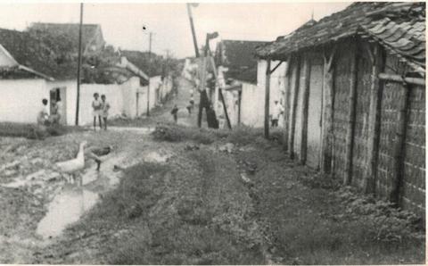 Album : Sejarah Desa Sawahan